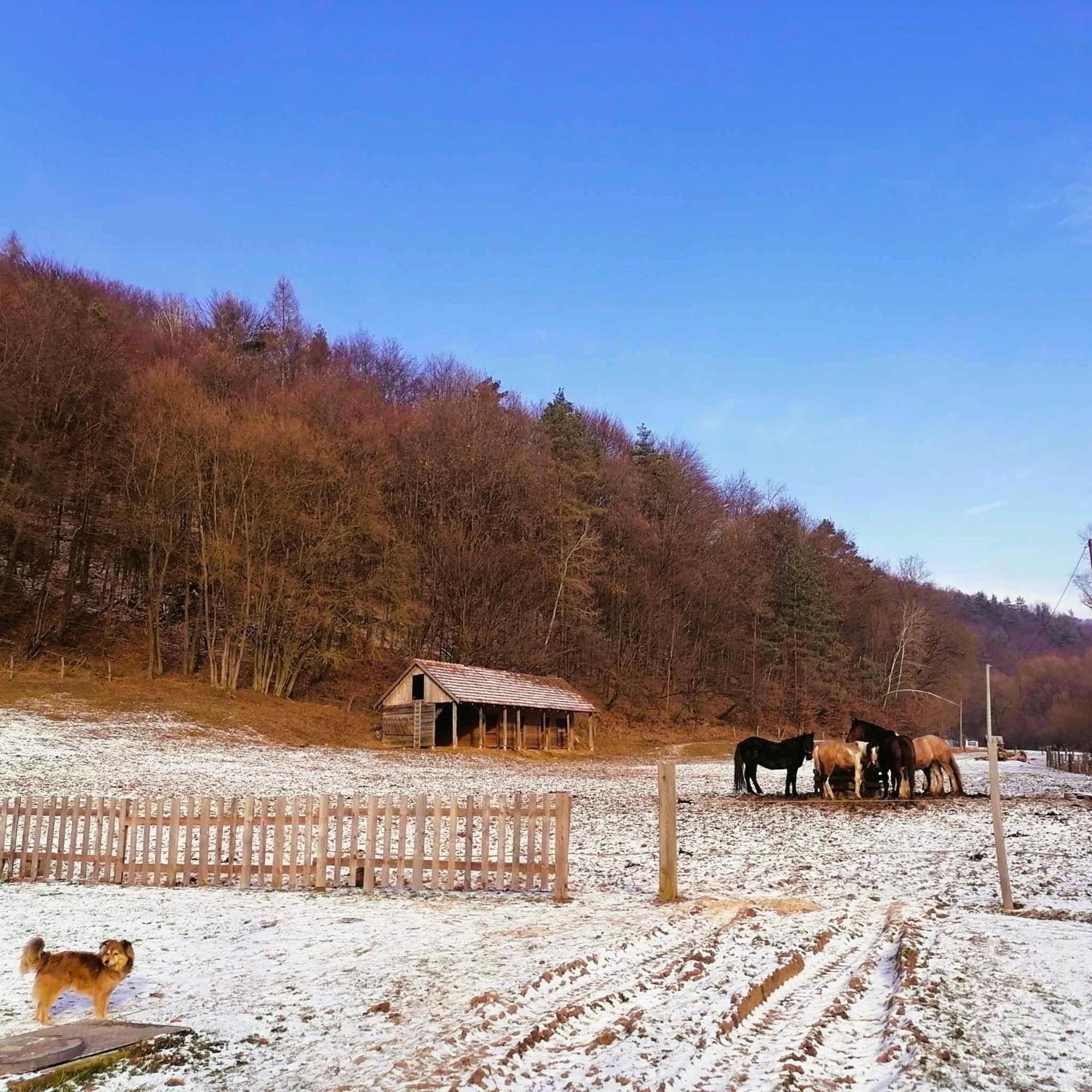 Oddychovy Pobyt Na Rodinnej Farme Matiaska Exterior photo